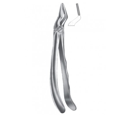 Extracting Forceps